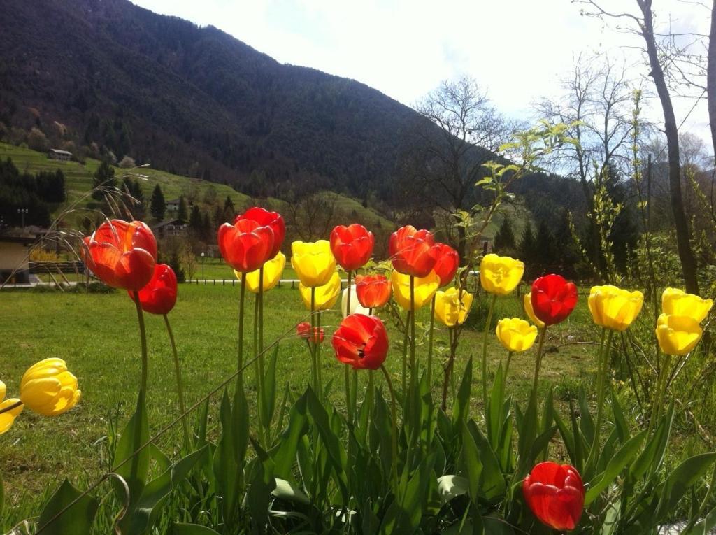 Cadria Nature & Bike Hotel Lenzumo di Concei Kültér fotó